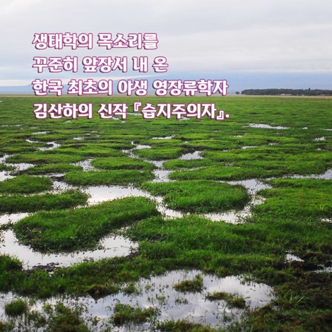 카드뉴스5