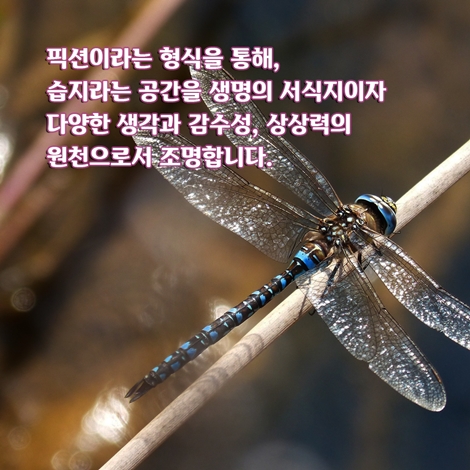카드뉴스6