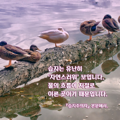카드뉴스7