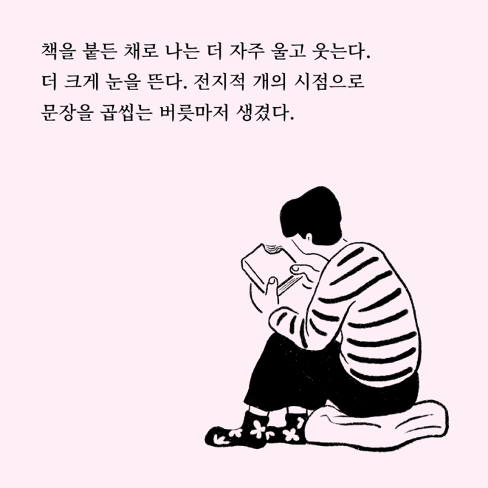 카드뉴스