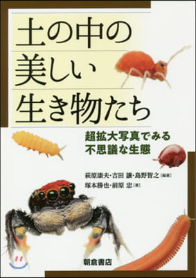 土の中の美しい生き物たち 超擴大寫眞で見る不思議な生態