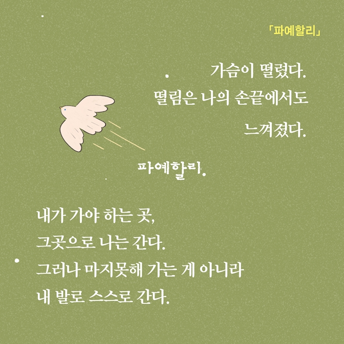 카드뉴스4