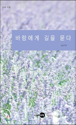 바람에게 길을 묻다