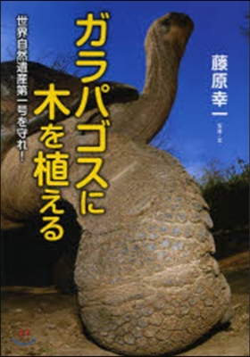 ガラパゴスに木を植える 世界自然遺産第一