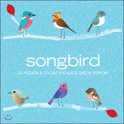 Songbird: 모던하고 스타일리시한 팝 &amp; 크로스오버 히트곡