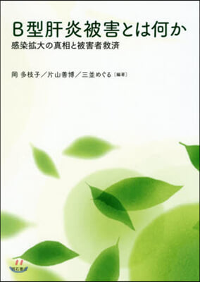 B型肝炎被害とは何か 感染擴大の眞相と被害者救濟 