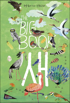 THE BIG BOOK 새