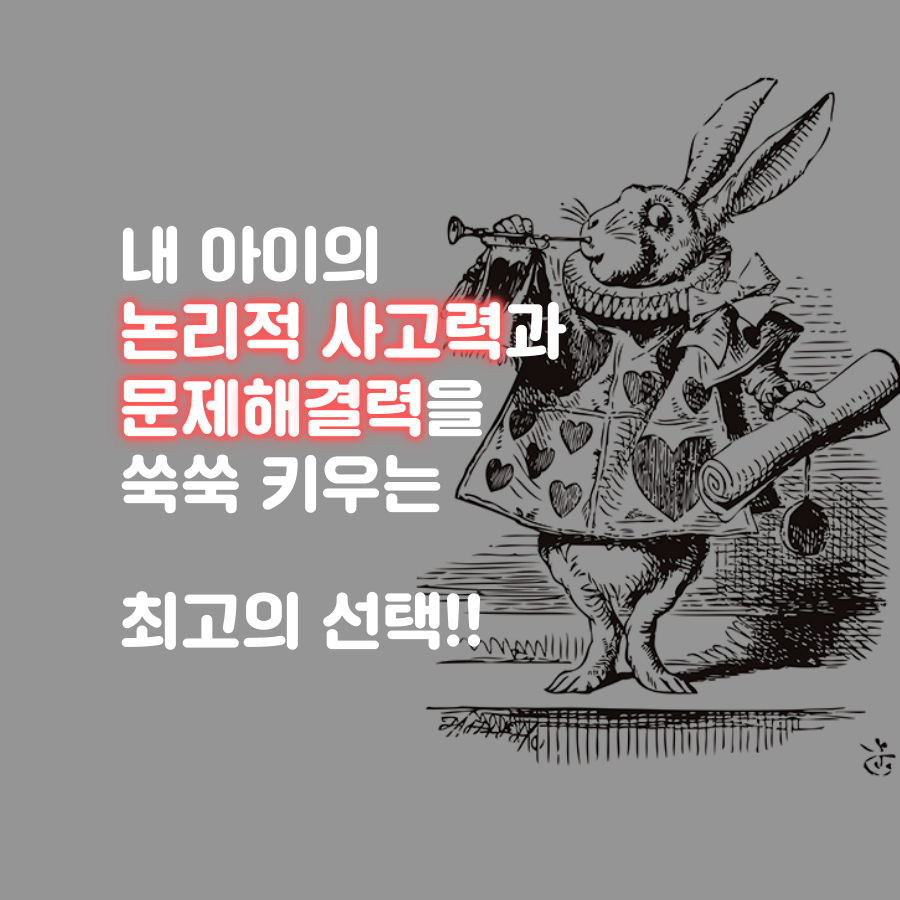카드뉴스2