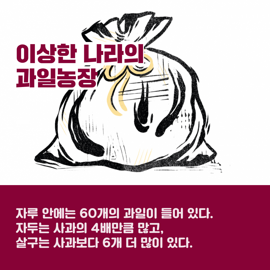 카드뉴스6