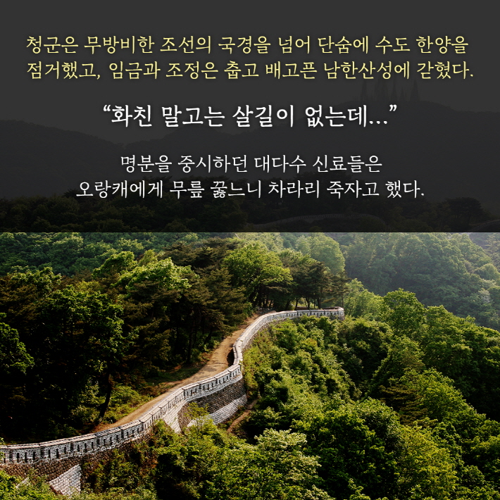 카드뉴스3