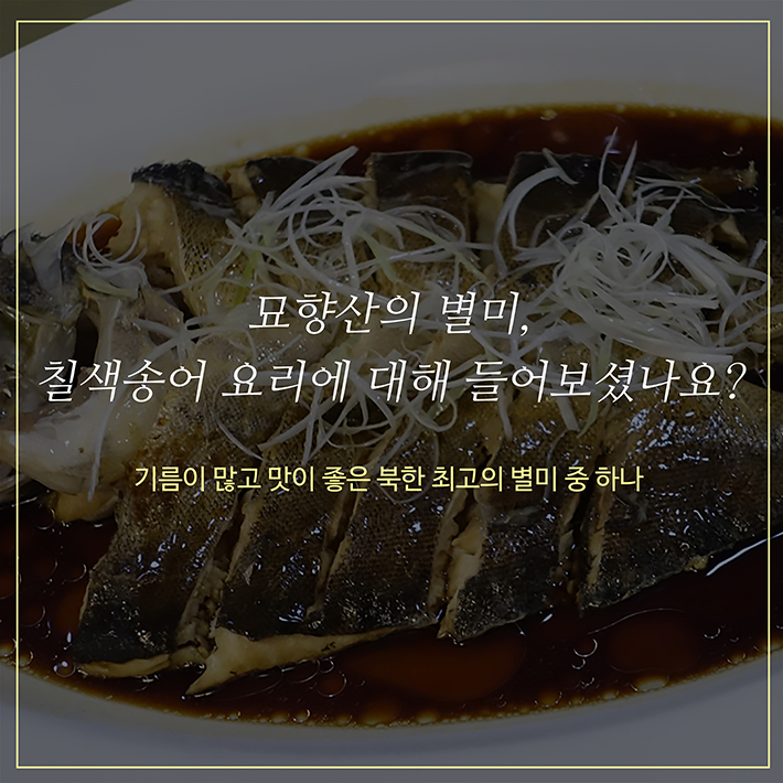 카드뉴스