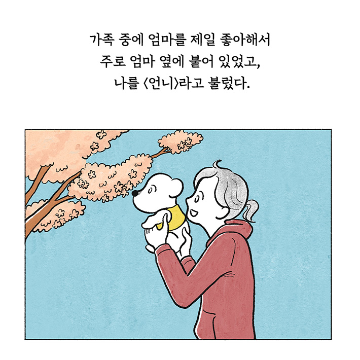 카드뉴스2