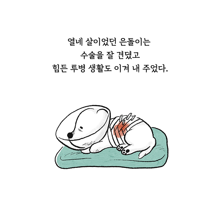 카드뉴스5