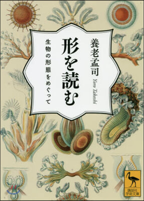 形を讀む 生物の形態をめぐって