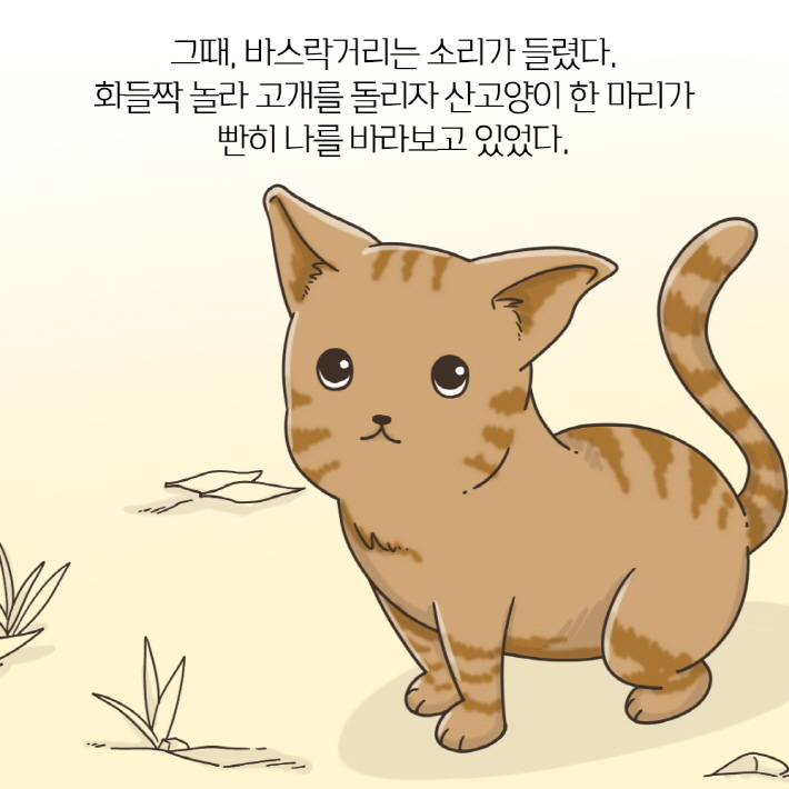 카드뉴스7
