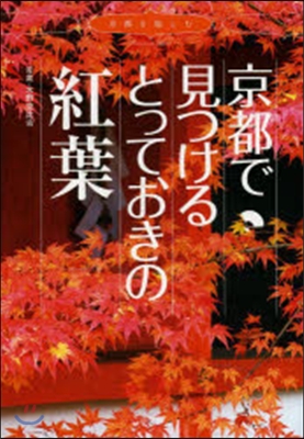 京都で見つけるとっておきの紅葉