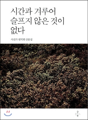 시간과 겨루어 슬프지 않은 것이 없다