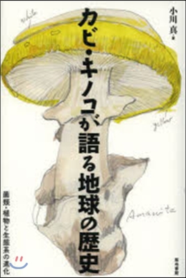 カビ.キノコが語る地球の歷史 菌類.植物