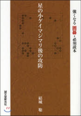 星の小ゲイマジマリ後の攻防 强くなる圍碁