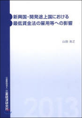 新興國.開發途上國における最低賃金法の雇