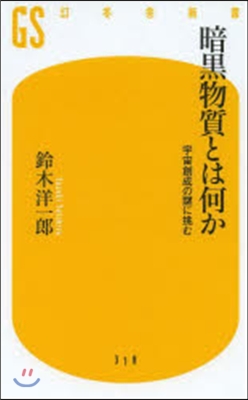 暗黑物質とは何か 宇宙創成の謎に挑む