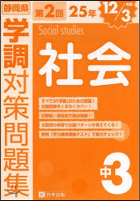 平25 靜岡縣 學調 中3 第2回 社會