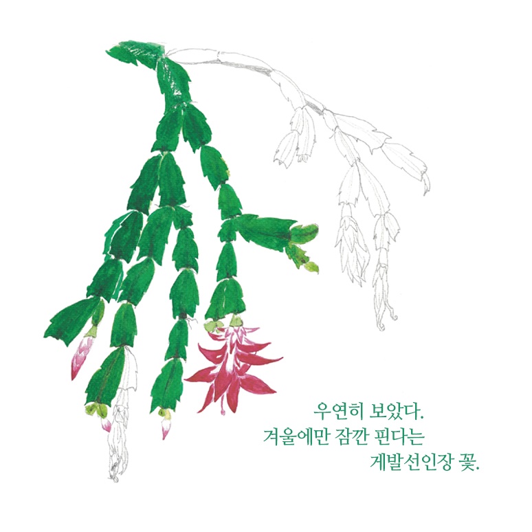 카드뉴스1