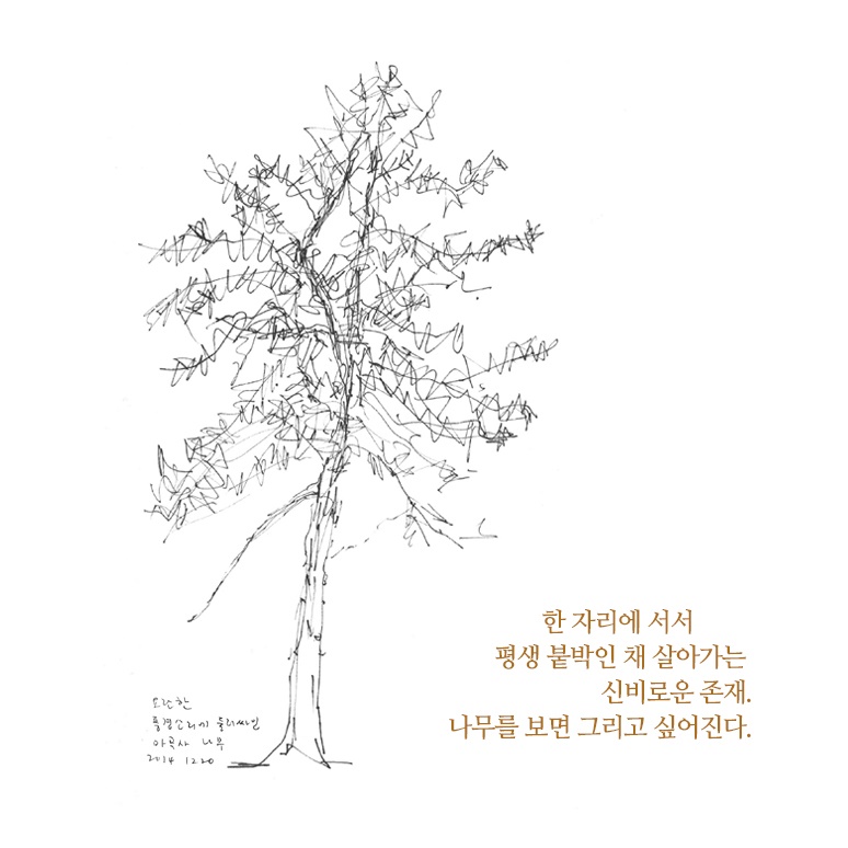 카드뉴스2