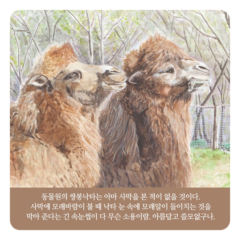 카드뉴스5