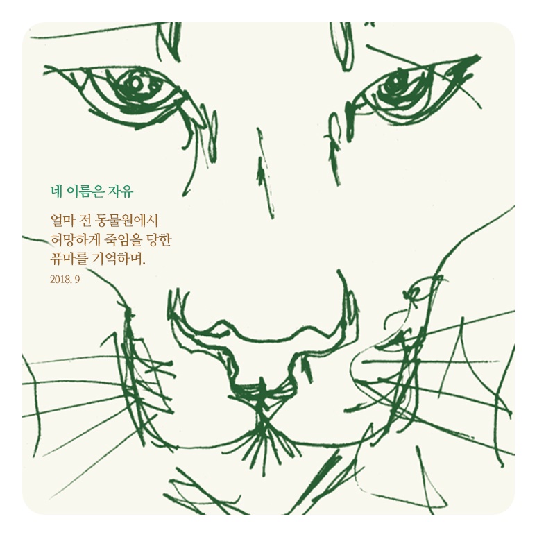 카드뉴스7