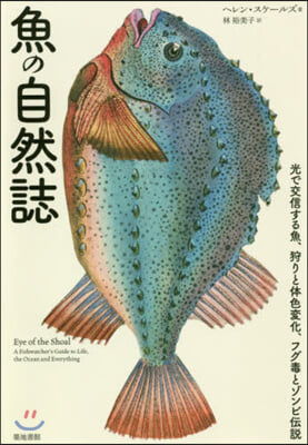 魚の自然誌 光で交信する魚,狩りと體色變化,フグ毒とゾンビ傳說