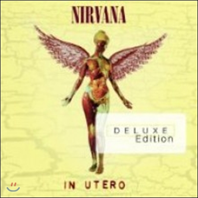 Nirvana - In Utero (20th Anniversary Edition)