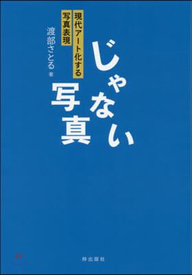 じゃない寫眞 現代ア-ト化する寫眞表現