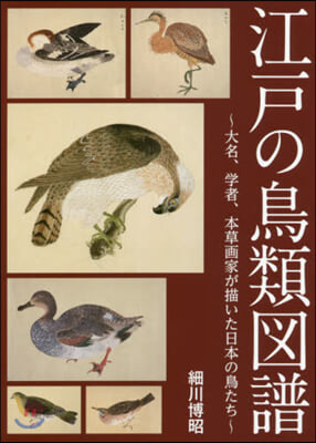 江戶の鳥類圖譜 大名,學者,本草畵家が描いた日本の鳥たち 