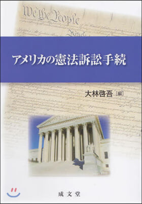 アメリカの憲法訴訟手續