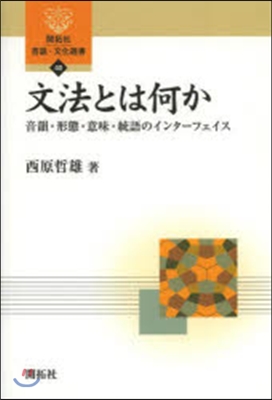 文法とは何か－音韻.形態.意味.統語のイ