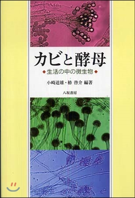 カビと酵母