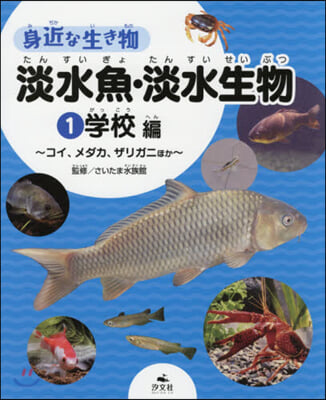 身近な生き物 淡水魚.淡水生物(1)學校編  