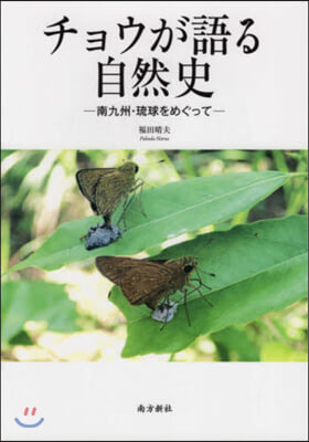 チョウが語る自然史 南九州.琉球をめぐっ