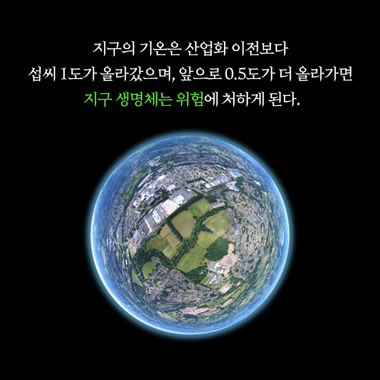 카드뉴스3