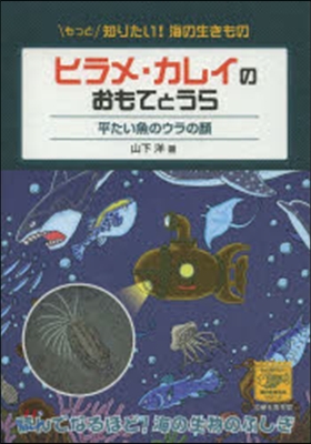 ヒラメ.カレイのおもてとうら 平たい魚の