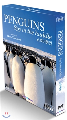 스파이펭귄 (Penguins-Spy in the Huddle)