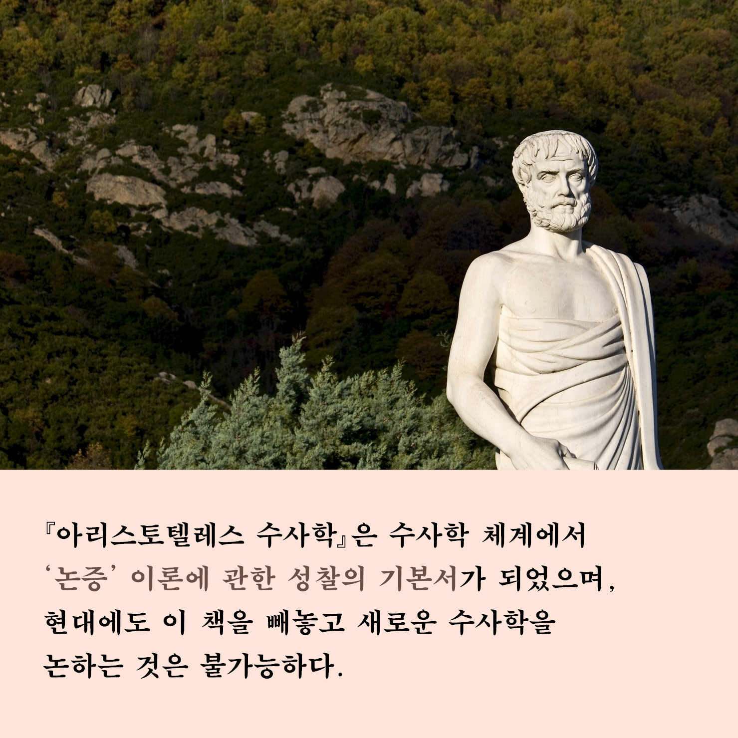 카드뉴스