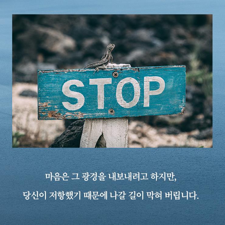 카드뉴스6