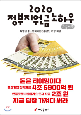 2020 정부지원금 노하우 (큰글씨책)