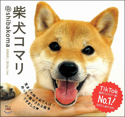柴犬コマリ ＠shibakoma