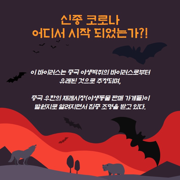 카드뉴스3
