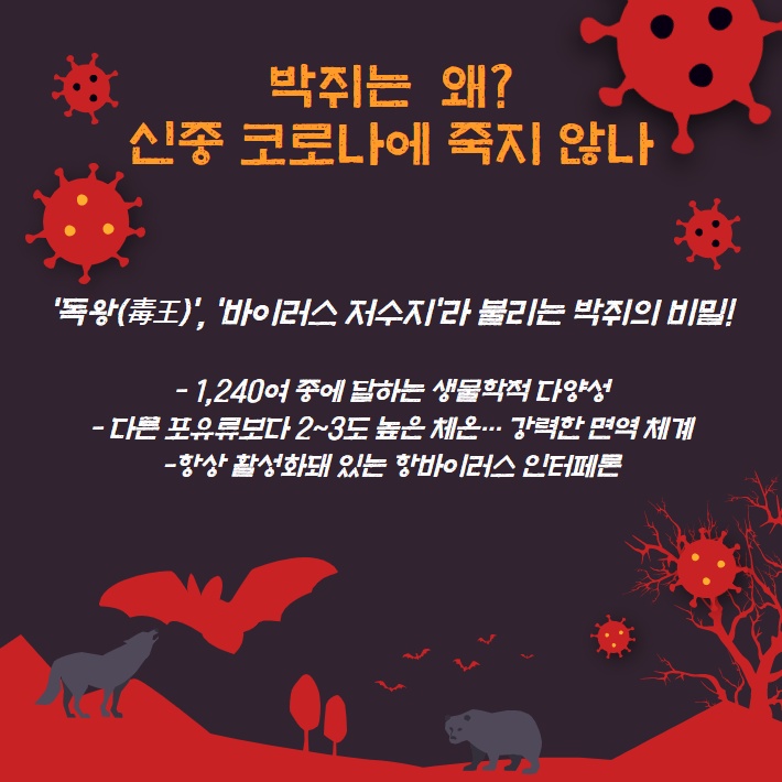 카드뉴스4