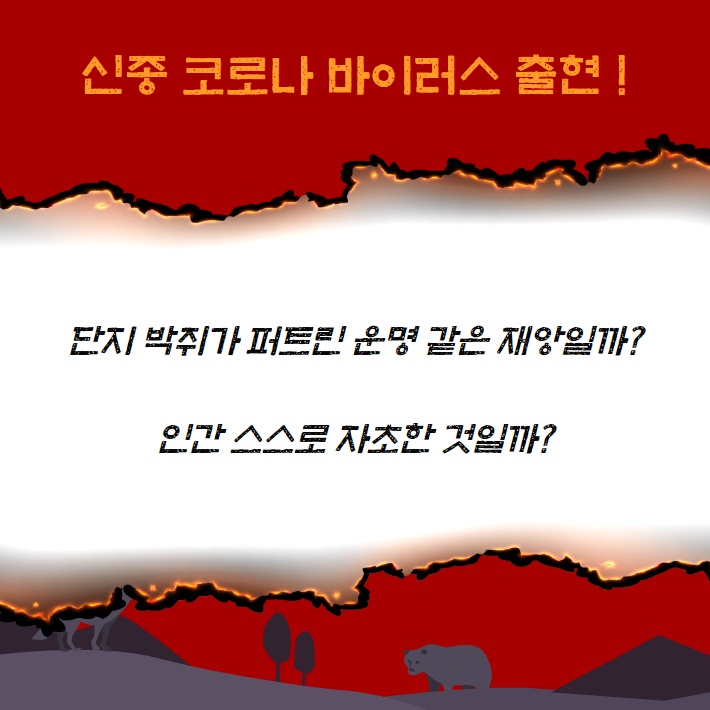 카드뉴스5