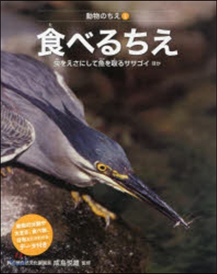 食べるちえ 蟲をえさにして魚を取るササゴ